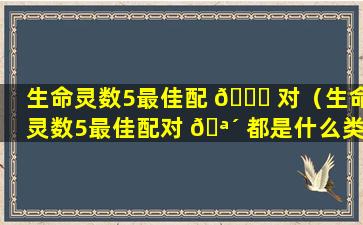 生命灵数5最佳配 🕊 对（生命灵数5最佳配对 🪴 都是什么类型）